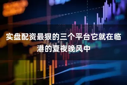 实盘配资最狠的三个平台它就在临港的夏夜晚风中