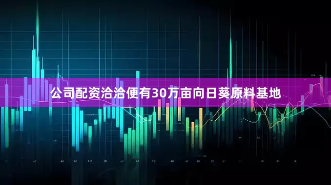 公司配资洽洽便有30万亩向日葵原料基地