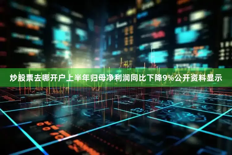 炒股票去哪开户上半年归母净利润同比下降9%公开资料显示