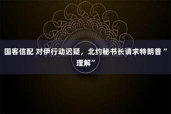 国客信配 对伊行动迟疑，北约秘书长请求特朗普“理解”